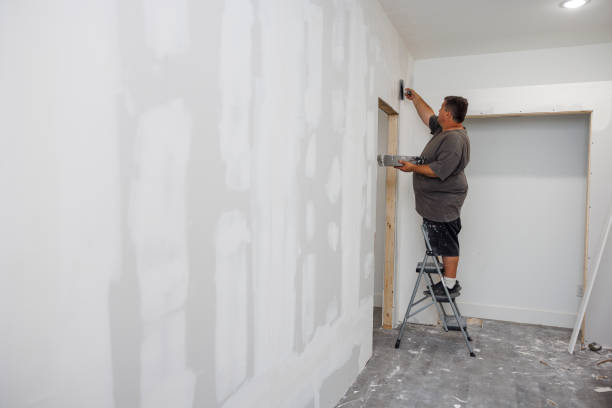 Best Mold Odor Removal Services  in Fyffe, AL