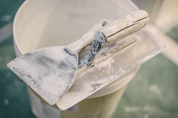 Fyffe, AL Mold Removal Pros